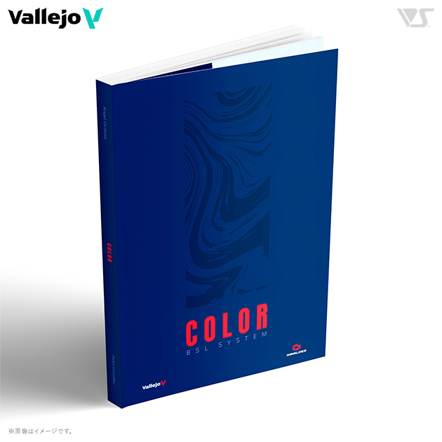 75091 COLOR BSLシステム(書籍)
