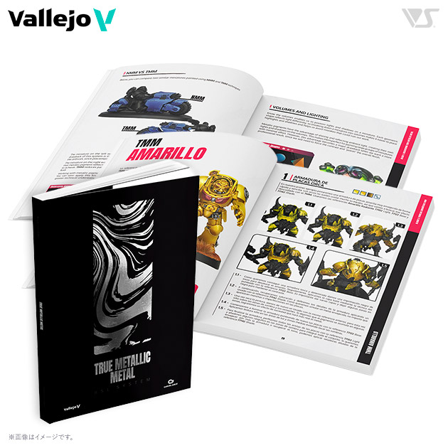 75093 トゥルーメタリックメタル BSLシステム(書籍)